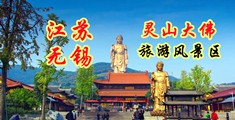 嫩穴视频污江苏无锡灵山大佛旅游风景区